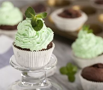 Schokoladen-Pfefferminz-Cupcakes