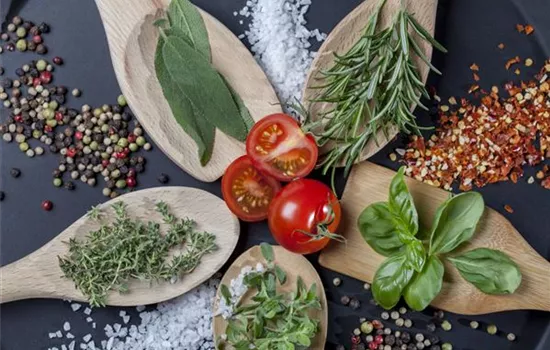 Küchenkräuter schmecken frisch von der Fensterbank am besten